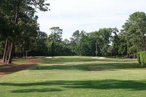 Palmetto 16th